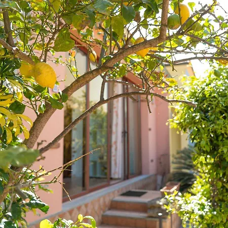 Appartamento Sweet Holidays - Lemon - Casa Con Giardino A Pochi Minuti Da San Teodoro
