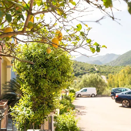 Apartamento Sweet Holidays - Lemon - Casa Con Giardino A Pochi Minuti Da San Teodoro Schifoni